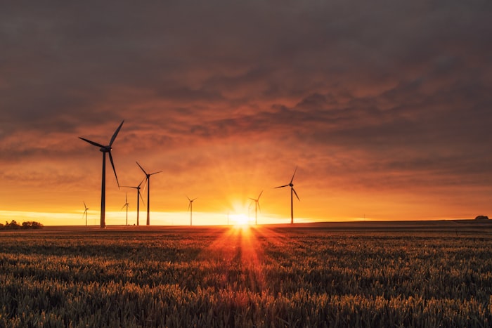 Leading India's Clean Energy Revolution